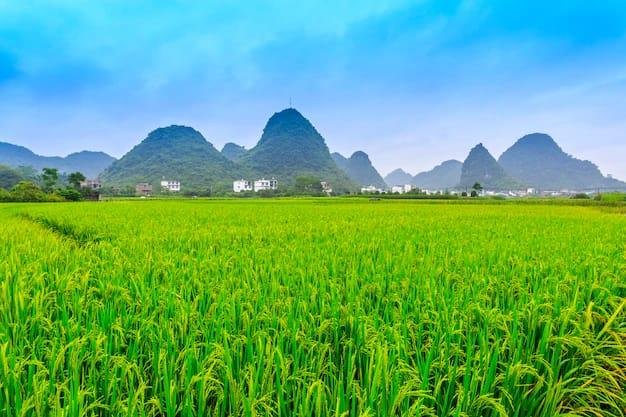 Desa Mojomati Ponorogo